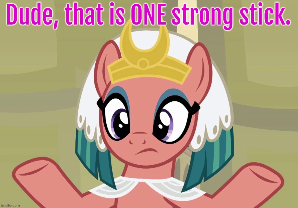 Concerned Somnambula (MLP) | Dude, that is ONE strong stick. | image tagged in concerned somnambula mlp | made w/ Imgflip meme maker