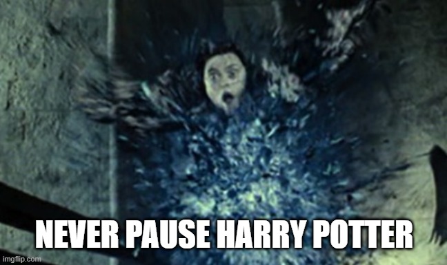 never pause harry potter | NEVER PAUSE HARRY POTTER | image tagged in never pause,harry potter,bellatrix lestrange | made w/ Imgflip meme maker