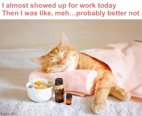 Today is canceled due to lack of interest | I almost showed up for work today
Then I was like, meh…probably better not | image tagged in funny memes,funny cat memes | made w/ Imgflip meme maker