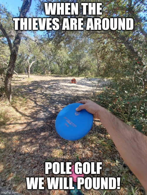 Pole Golf because you have to. | WHEN THE THIEVES ARE AROUND; POLE GOLF WE WILL POUND! | image tagged in disc golf | made w/ Imgflip meme maker