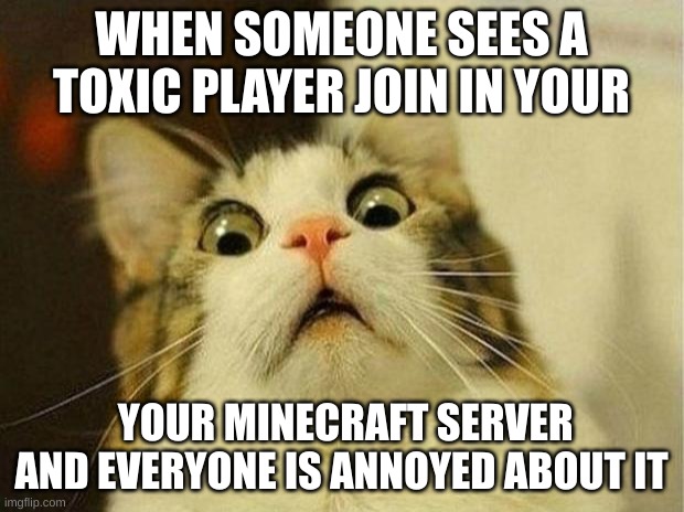 Scared Cat | WHEN SOMEONE SEES A TOXIC PLAYER JOIN IN YOUR; YOUR MINECRAFT SERVER AND EVERYONE IS ANNOYED ABOUT IT | image tagged in memes,scared cat,toxic masculinity,minecraft | made w/ Imgflip meme maker