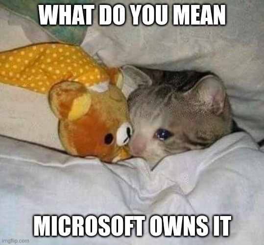 Crying cat | WHAT DO YOU MEAN MICROSOFT OWNS IT | image tagged in crying cat | made w/ Imgflip meme maker