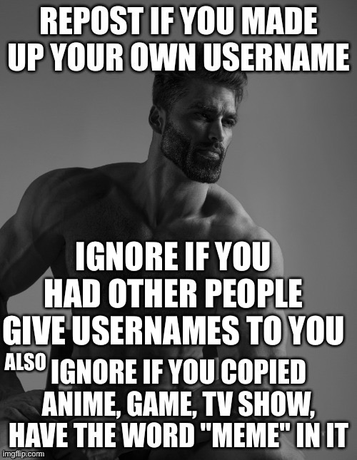 IGNORE IF YOU HAD OTHER PEOPLE GIVE USERNAMES TO YOU; ALSO | made w/ Imgflip meme maker