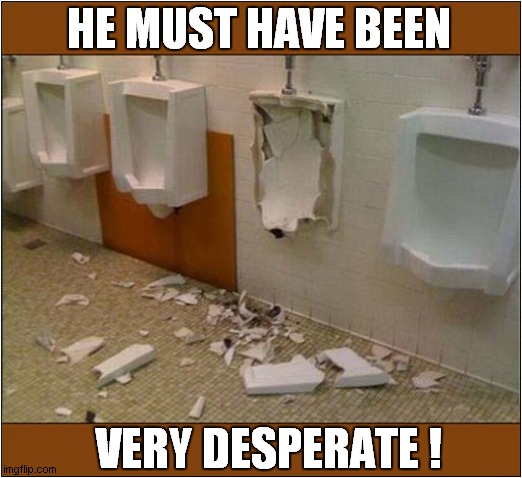 When You Hold It In Too Long | HE MUST HAVE BEEN; VERY DESPERATE ! | image tagged in toilets,desperate,destruction | made w/ Imgflip meme maker