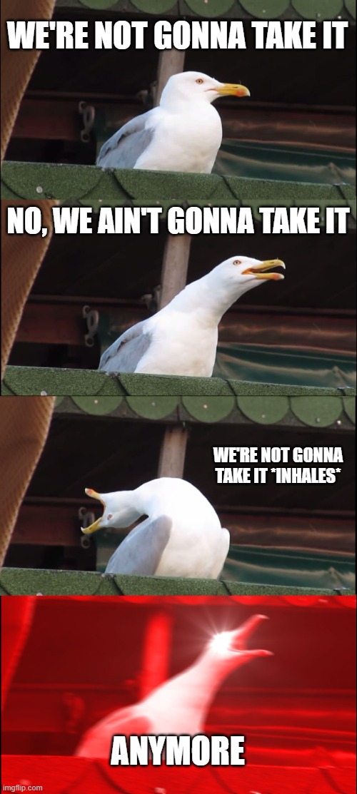 YEAH!!!!!!!!!! |  WE'RE NOT GONNA TAKE IT; NO, WE AIN'T GONNA TAKE IT; WE'RE NOT GONNA TAKE IT *INHALES*; ANYMORE | image tagged in memes,inhaling seagull,rock music | made w/ Imgflip meme maker