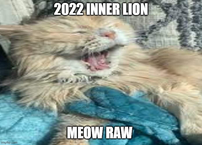 2022 lion | 2022 INNER LION; MEOW RAW | image tagged in grumpy cat,kitty,covid-19,2022,lion,lion king | made w/ Imgflip meme maker