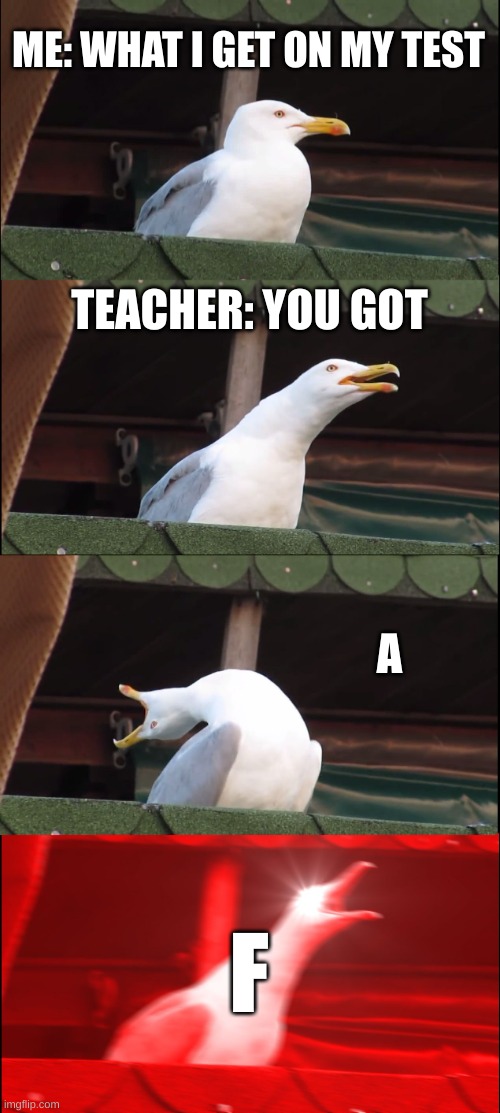 Inhaling Seagull | ME: WHAT I GET ON MY TEST; TEACHER: YOU GOT; A; F | image tagged in memes,inhaling seagull | made w/ Imgflip meme maker