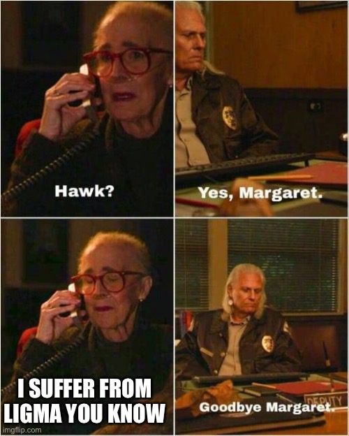 Margaret and Hawk | I SUFFER FROM LIGMA YOU KNOW | image tagged in margaret and hawk | made w/ Imgflip meme maker
