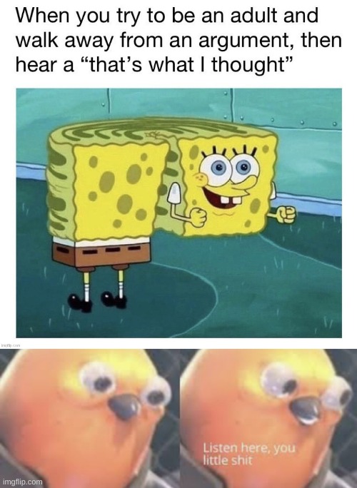 yep everytime | image tagged in listen here you little shit bird | made w/ Imgflip meme maker