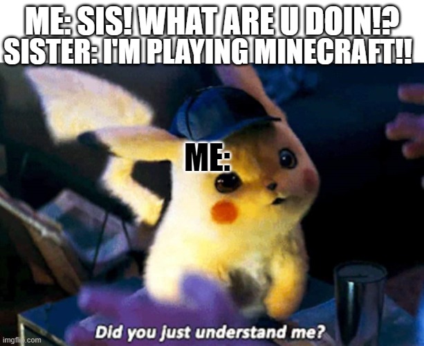 My sister never tells me what she's doing | SISTER: I'M PLAYING MINECRAFT!! ME: SIS! WHAT ARE U DOIN!? ME: | image tagged in did you just understand me | made w/ Imgflip meme maker