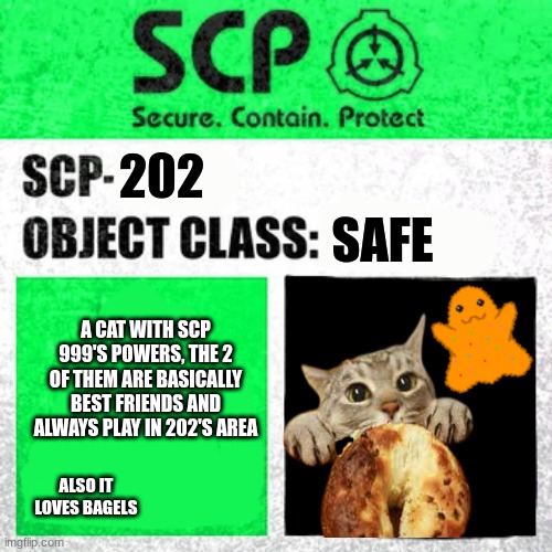 scp 999's best friend | SAFE; 202; A CAT WITH SCP 999'S POWERS, THE 2 OF THEM ARE BASICALLY BEST FRIENDS AND ALWAYS PLAY IN 202'S AREA; ALSO IT LOVES BAGELS | image tagged in scp label template safe | made w/ Imgflip meme maker