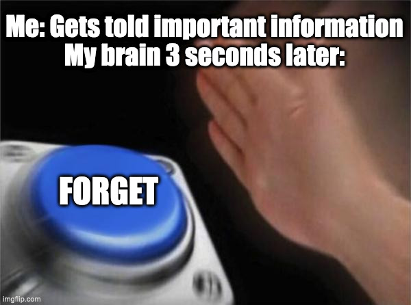 stupid brains | Me: Gets told important information

My brain 3 seconds later:; FORGET | image tagged in memes,blank nut button | made w/ Imgflip meme maker