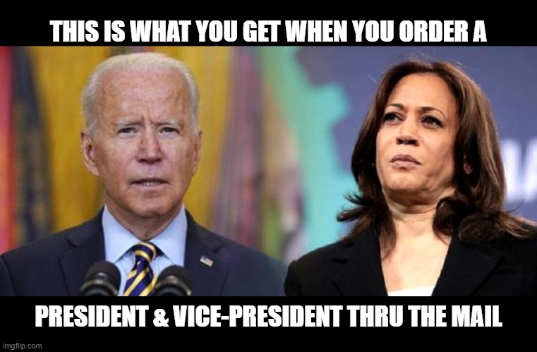 ELECTING LEADERS BY MAIL | THIS IS WHAT YOU GET WHEN YOU ORDER A; PRESIDENT & VICE-PRESIDENT THRU THE MAIL | image tagged in biden,kamala,election fraud,left wing,marxists,trump | made w/ Imgflip meme maker