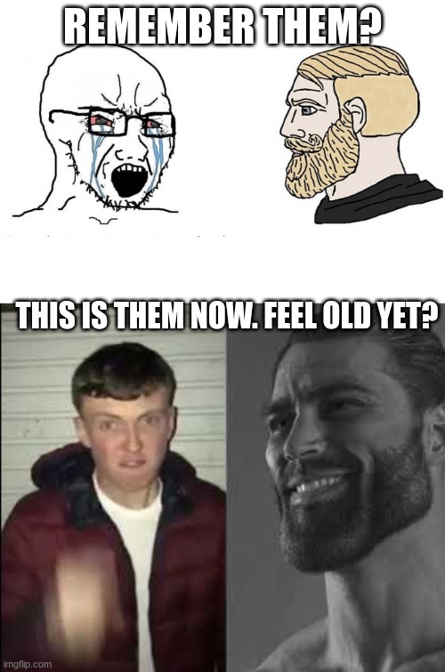 They have evolved. | REMEMBER THEM? THIS IS THEM NOW. FEEL OLD YET? | image tagged in giga chad template,soyboy vs yes chad,feel old yet | made w/ Imgflip meme maker