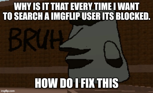 Bruh | WHY IS IT THAT EVERY TIME I WANT TO SEARCH A IMGFLIP USER ITS BLOCKED. HOW DO I FIX THIS | image tagged in bruh | made w/ Imgflip meme maker