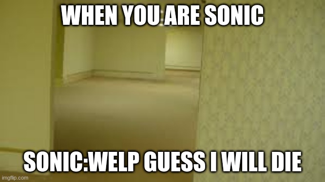 bruh he went too fast |  WHEN YOU ARE SONIC; SONIC:WELP GUESS I WILL DIE | image tagged in memes | made w/ Imgflip meme maker