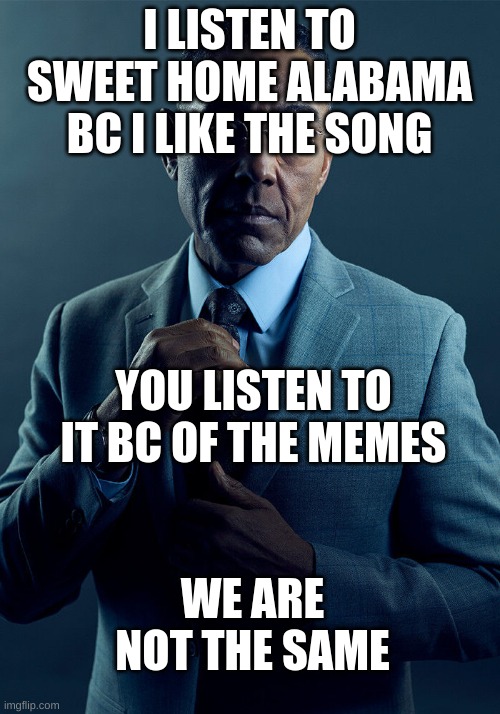 comment if you are the same | I LISTEN TO SWEET HOME ALABAMA BC I LIKE THE SONG; YOU LISTEN TO IT BC OF THE MEMES; WE ARE NOT THE SAME | image tagged in gus fring we are not the same | made w/ Imgflip meme maker