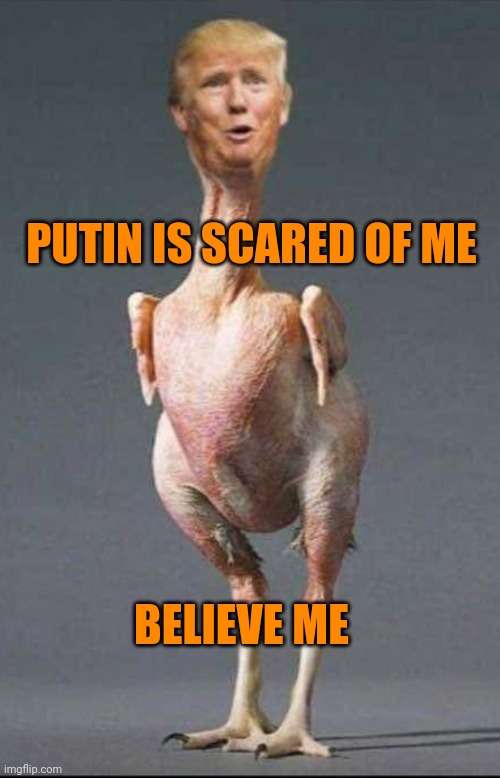 Capt. Bone Spurs | PUTIN IS SCARED OF ME; BELIEVE ME | image tagged in trump chicken | made w/ Imgflip meme maker