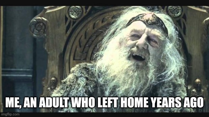 You have no power here | ME, AN ADULT WHO LEFT HOME YEARS AGO | image tagged in you have no power here | made w/ Imgflip meme maker