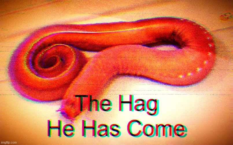 do not question. simply appreciate the presence of the h a g | image tagged in t h e h a g,hagfish | made w/ Imgflip meme maker