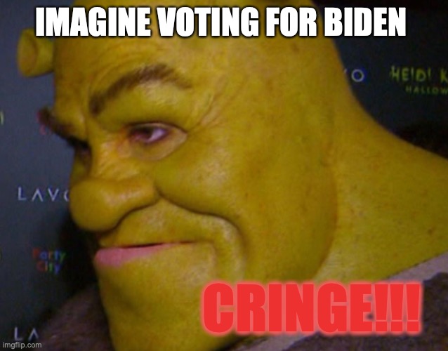 Really tho... | IMAGINE VOTING FOR BIDEN CRINGE!!! | image tagged in shrek cringe,joe biden 2020 | made w/ Imgflip meme maker