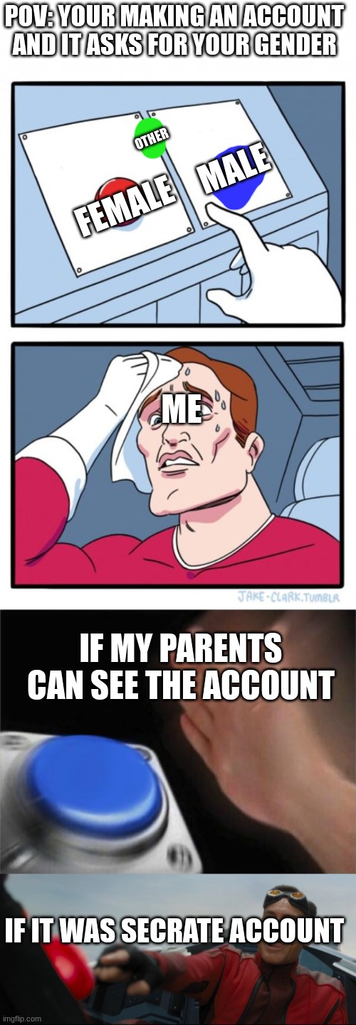 green button parents would question | POV: YOUR MAKING AN ACCOUNT AND IT ASKS FOR YOUR GENDER; MALE; OTHER; FEMALE; ME; IF MY PARENTS CAN SEE THE ACCOUNT; IF IT WAS SECRATE ACCOUNT | image tagged in short blank,memes,two buttons,blank nut button,robotnik button | made w/ Imgflip meme maker