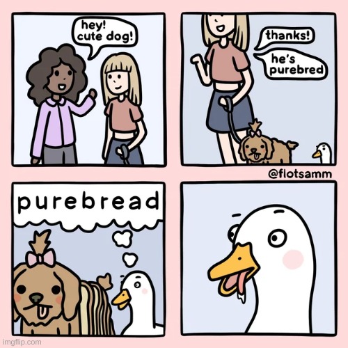 oh no | image tagged in comics/cartoons,purebred,dog,duck,oh no,purebread | made w/ Imgflip meme maker