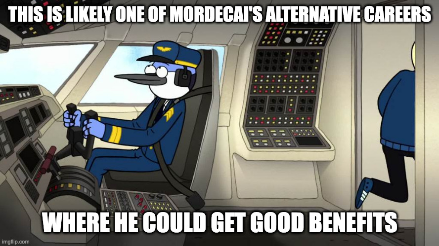 Pilot Mordecai | THIS IS LIKELY ONE OF MORDECAI'S ALTERNATIVE CAREERS; WHERE HE COULD GET GOOD BENEFITS | image tagged in regular show,mordecai,memes | made w/ Imgflip meme maker