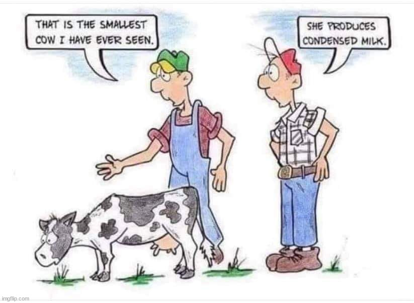 image tagged in comics/cartoons | made w/ Imgflip meme maker