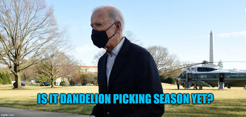 Biden piorities... | IS IT DANDELION PICKING SEASON YET? | image tagged in biden,priorities | made w/ Imgflip meme maker