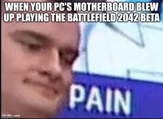 Russian badger | WHEN YOUR PC'S MOTHERBOARD BLEW UP PLAYING THE BATTLEFIELD 2042 BETA | image tagged in russian badger | made w/ Imgflip meme maker