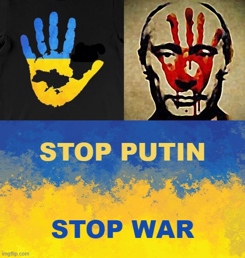 STOP PUTIN STOP WAR | STOP PUTIN; STOP WAR | image tagged in stop putin,stop war,stop,putin,war,ukrainian lives matter | made w/ Imgflip meme maker