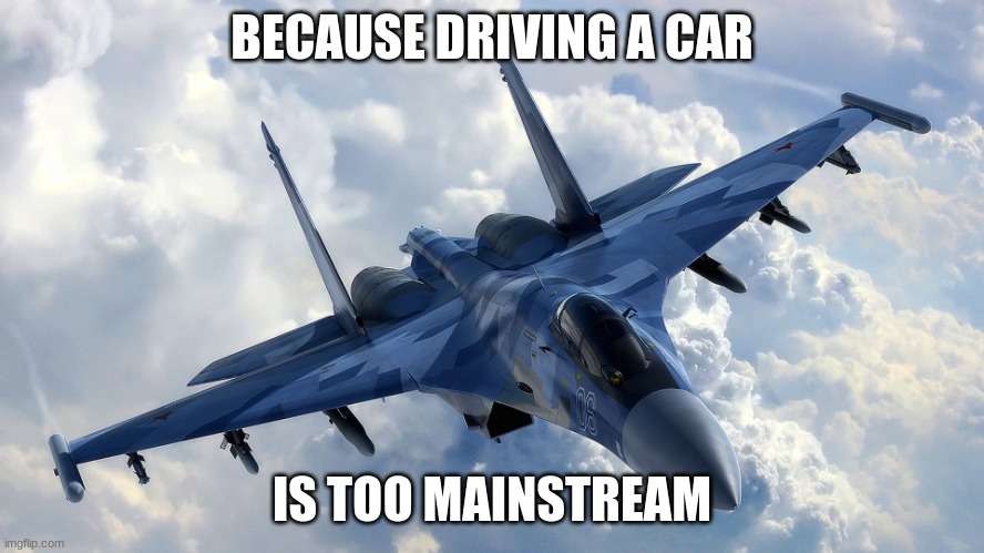 Fighter Jet | BECAUSE DRIVING A CAR IS TOO MAINSTREAM | image tagged in fighter jet | made w/ Imgflip meme maker