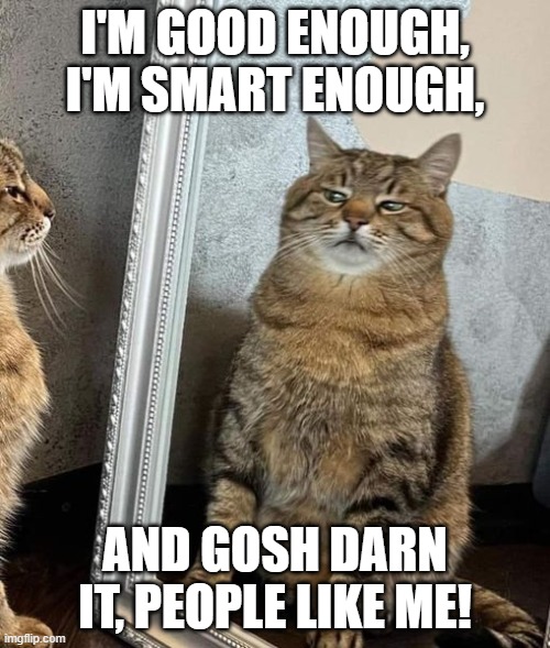 Confidence Cat | I'M GOOD ENOUGH, I'M SMART ENOUGH, AND GOSH DARN IT, PEOPLE LIKE ME! | image tagged in cat,motivational | made w/ Imgflip meme maker