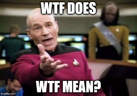 Picard Wtf Meme | WTF DOES WTF MEAN? | image tagged in memes,picard wtf | made w/ Imgflip meme maker
