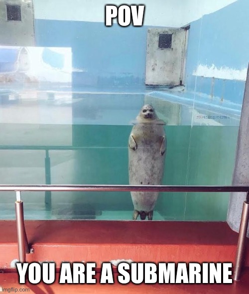 And the beeps | POV; YOU ARE A SUBMARINE | image tagged in seal i think | made w/ Imgflip meme maker