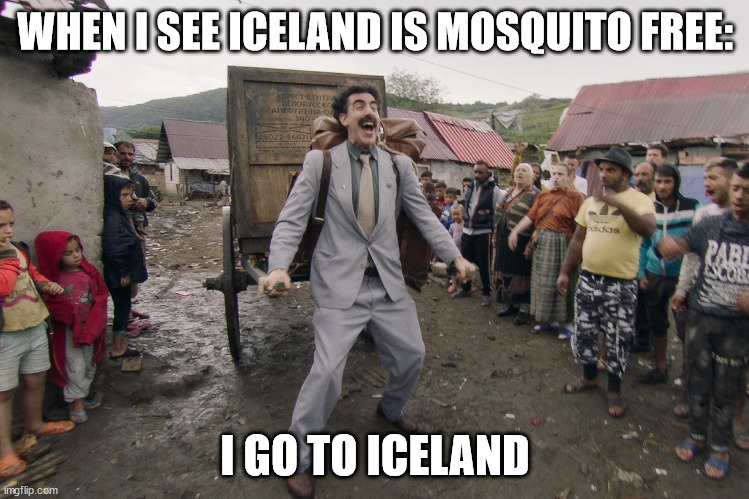 Going to iceland. | WHEN I SEE ICELAND IS MOSQUITO FREE:; I GO TO ICELAND | image tagged in borat i go to america | made w/ Imgflip meme maker