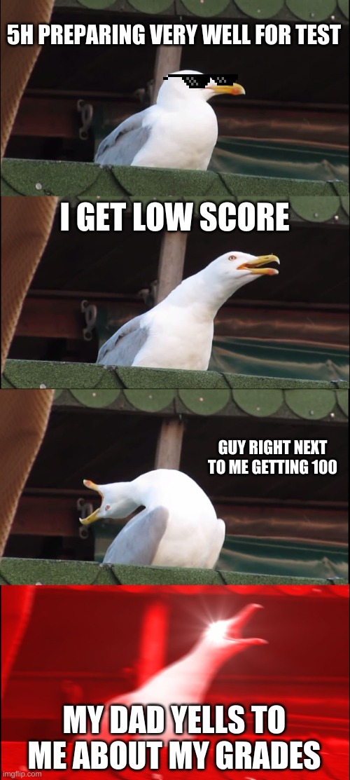 Inhaling Seagull | 5H PREPARING VERY WELL FOR TEST; I GET LOW SCORE; GUY RIGHT NEXT TO ME GETTING 100; MY DAD YELLS TO ME ABOUT MY GRADES | image tagged in memes,inhaling seagull | made w/ Imgflip meme maker