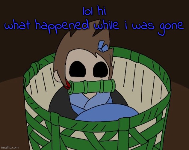 basket tom | lol hi
what happened while i was gone | image tagged in basket tom | made w/ Imgflip meme maker
