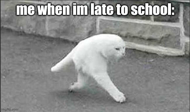 deformed cat meme | me when im late to school: | image tagged in deformed cat | made w/ Imgflip meme maker