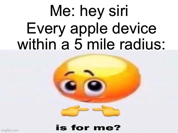 I hate this stuff. | Me: hey siri; Every apple device within a 5 mile radius: | image tagged in siri,is for me,meme,funny | made w/ Imgflip meme maker