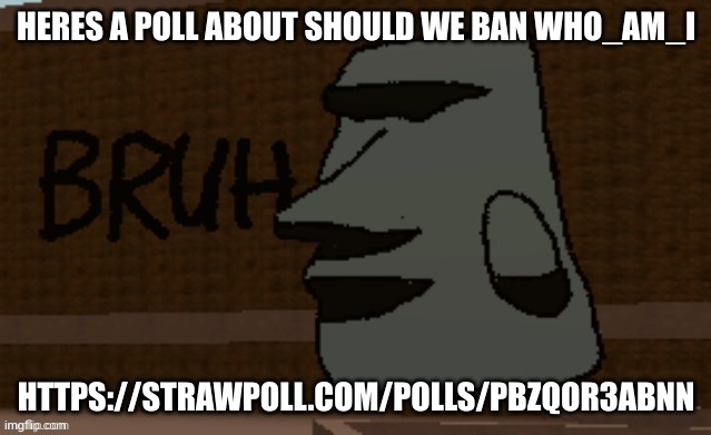 https://strawpoll.com/polls/PbZqor3AbnN | HERES A POLL ABOUT SHOULD WE BAN WHO_AM_I; HTTPS://STRAWPOLL.COM/POLLS/PBZQOR3ABNN | image tagged in bruh | made w/ Imgflip meme maker
