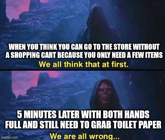 We Are All Wrong | WHEN YOU THINK YOU CAN GO TO THE STORE WITHOUT A SHOPPING CART BECAUSE YOU ONLY NEED A FEW ITEMS; 5 MINUTES LATER WITH BOTH HANDS FULL AND STILL NEED TO GRAB TOILET PAPER | image tagged in we are all wrong | made w/ Imgflip meme maker