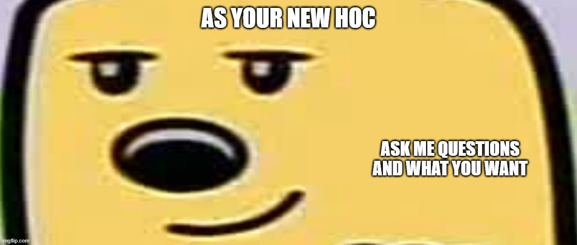 If not, then ok | AS YOUR NEW HOC; ASK ME QUESTIONS AND WHAT YOU WANT | image tagged in wubbzy smug | made w/ Imgflip meme maker