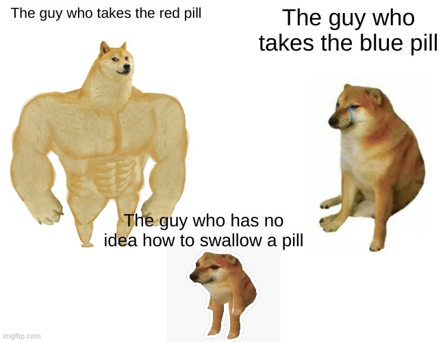 matrix go brrrrrrr | The guy who takes the red pill; The guy who takes the blue pill; The guy who has no idea how to swallow a pill | image tagged in memes,buff doge vs cheems | made w/ Imgflip meme maker