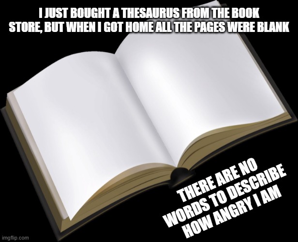 No Words | I JUST BOUGHT A THESAURUS FROM THE BOOK STORE, BUT WHEN I GOT HOME ALL THE PAGES WERE BLANK; THERE ARE NO WORDS TO DESCRIBE HOW ANGRY I AM | image tagged in blank book | made w/ Imgflip meme maker