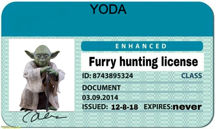 Yoda's Furry hunting license | YODA | image tagged in furry hunting license,yoda | made w/ Imgflip meme maker