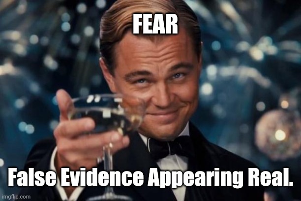 Leonardo Dicaprio Cheers | FEAR; False Evidence Appearing Real. | image tagged in memes,leonardo dicaprio cheers | made w/ Imgflip meme maker