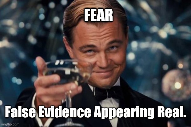 Leonardo Dicaprio Cheers Meme | FEAR; False Evidence Appearing Real. | image tagged in memes,leonardo dicaprio cheers | made w/ Imgflip meme maker