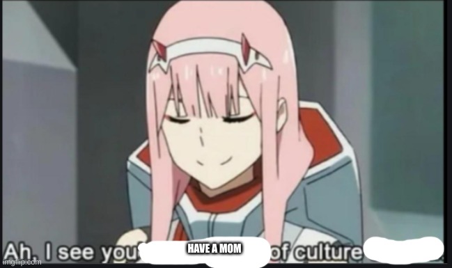 Ah, I see you're a Darling of culture as well | HAVE A MOM | image tagged in ah i see you're a darling of culture as well | made w/ Imgflip meme maker